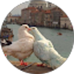 Profile photo of Nariah Smith