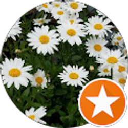 Profile photo of Kelli Hayward