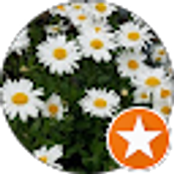 Profile photo of Kelli Hayward