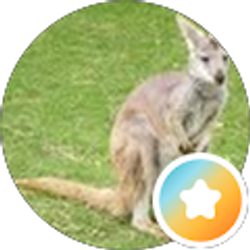 Profile photo of Andrew Gillespie
