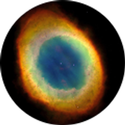 Profile photo of Danny Salazar