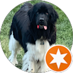 Profile photo of AWOL