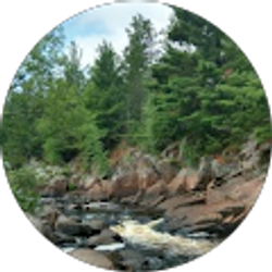 Profile photo of Peyton Tozer