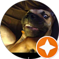 Profile photo of Sam Ro