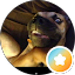 Profile photo of Sam Ro