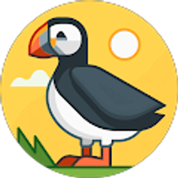 Profile photo of Bruno G
