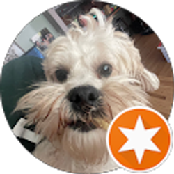 Profile photo of Chris Brockman