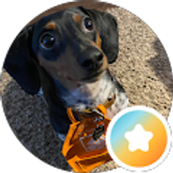Profile photo of Dewy