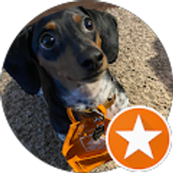 Profile photo of Dewy