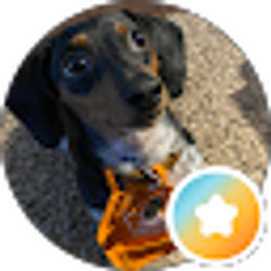 Profile photo of Dewy