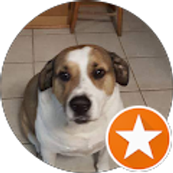 Profile photo of Crystal Green