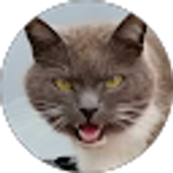 Profile photo of Jacob Samuels