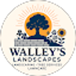 Profile photo of Steven Wallen