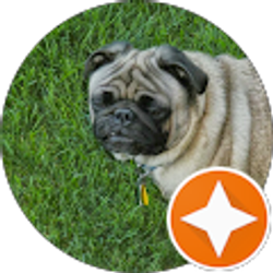 Profile photo of littlebirdyc