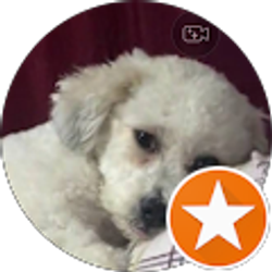 Profile photo of Dennis Gubbi