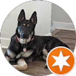 Profile photo of N Peña