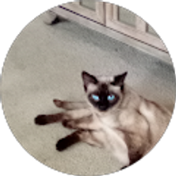 Profile photo of Leeza Gypsy