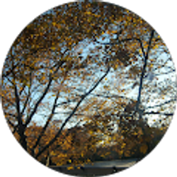 Profile photo of faze papito