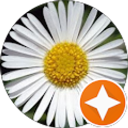 Profile photo of Leslie Burton