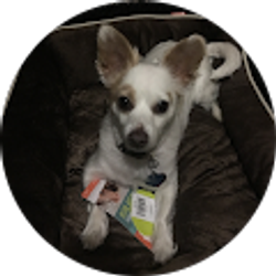 Profile photo of gin