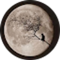 Profile photo of explicitambiguity