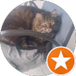 Profile photo of Teresa Horner