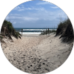 Profile photo of Tracy Cannon