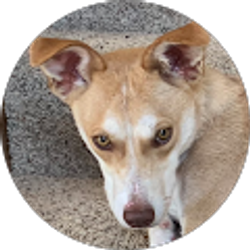 Profile photo of Masaki Ikuta