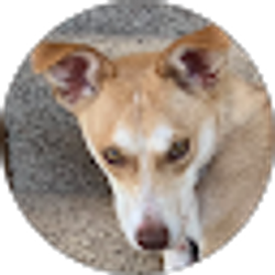 Profile photo of Masaki Ikuta