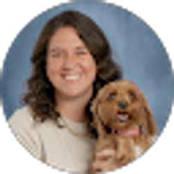 Profile photo of Stephanie McDaniel