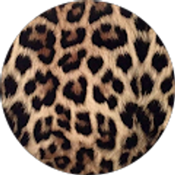 Profile photo of Destinee Dotson