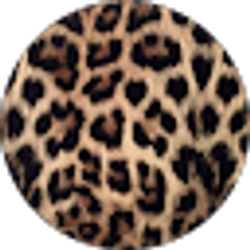 Profile photo of Destinee Dotson