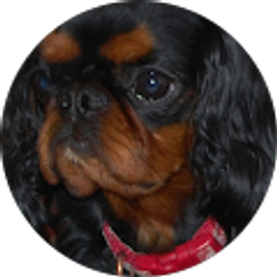 Profile photo of Beth Bittner