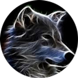Profile photo of Wolf