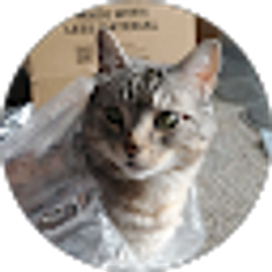 Profile photo of Will