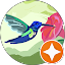 Profile photo of Donna Stanford