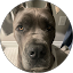 Profile photo of Jennifer Amster