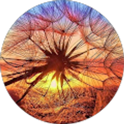 Profile photo of Shanna Gibson