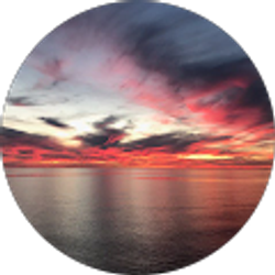 Profile photo of Amanda Moss