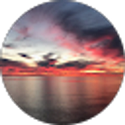 Profile photo of Amanda Moss