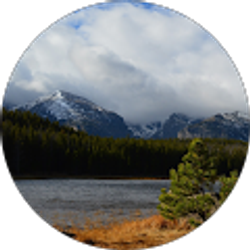 Profile photo of Tyler Brezina