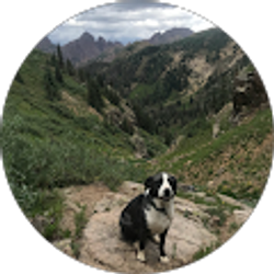 Profile photo of Andrew Holley