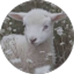 Profile photo of Julian Leren