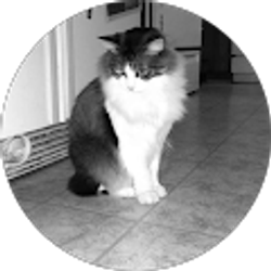 Profile photo of Caleb Harville