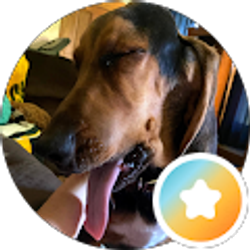 Profile photo of April Washecheck