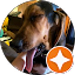 Profile photo of April Washecheck