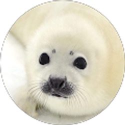 Profile photo of Ruby