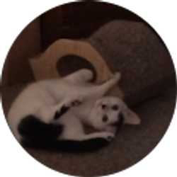 Profile photo of Dee DeMay