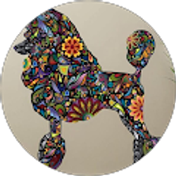 Profile photo of RCHIL'S STANDARD POODLES