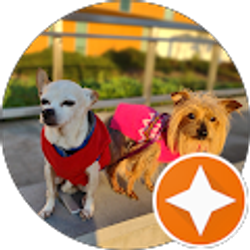 Profile photo of Mary Jennison